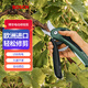 博世（BOSCH） 修枝剪電動(dòng)剪刀智能充電式修枝神器小型家用園藝剪果樹(shù)花藝