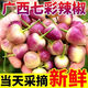 廣西七彩辣椒新鮮腌制五彩泡椒燈籠椒辣椒一整箱 新鮮現(xiàn)摘5斤通果5斤