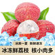 荔枝新鮮現(xiàn)摘冷凍荔枝冰凍應季速凍荔枝直發(fā)冰鮮現(xiàn)貨整箱當季水果 冰凍荔枝大果1斤