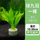 迷你九冠水草養魚(yú)造景植物細葉鐵大葉魚(yú)缸新手懶人活體淡水榕陰性 【大葉九冠】1顆15-30cm（送沉底環(huán)）