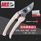愛麗斯（ARS）日本愛麗斯剪枝剪刀進(jìn)口修枝剪ARS 130DX果樹剪刀 樹剪剪子愛麗絲 日本原裝130DX+彈簧