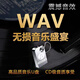YKT無損WAV格式汽車載U盤發(fā)燒音樂人聲男聲女聲翻唱經(jīng)典歌曲品質(zhì) 64G【1290首WAV真無損】女聲男聲