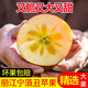 良知農哥麗江寧蒗瀘沽湖冰糖心丑蘋(píng)果 脆甜可口應季紅富士 5斤彩箱12個(gè)70-90mm