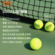 ODEA歐帝爾GOLD網(wǎng)球訓(xùn)練球高彈耐打DD3無壓常壓散裝進(jìn)階網(wǎng)球60粒袋裝 GOLD 12粒