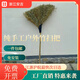 竹掃把 6束黑皮綁帶葉工業(yè)用加厚加長戶外工廠環(huán)衛(wèi)保潔大竹子掃帚 傳統(tǒng)竹掃把【帶葉】 長1.6m寬70cm