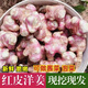 教蔬鮮生紅皮洋姜新鮮現(xiàn)挖紫皮生非野鬼子姜不辣甜陽(yáng)菊芋腌醬咸菜 1000g