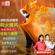 京璽 防火斗篷逃生披風(fēng)防毒面具配套用防火隔熱防火毯家庭應(yīng)急 兒童款