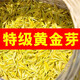 匯春茗高檔黃金芽】2025新茶正宗珍稀白茶綠茶葉特級(jí)一級(jí)黃金葉茶批農(nóng)發(fā) 雨前一級(jí)黃金芽250克袋裝