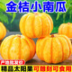 迷你金桔貝貝南瓜精品太陽(yáng)果小金瓜萬(wàn)圣節南瓜燈籠南瓜盅雕刻裝飾 0g 2個(gè)裝  單果200g