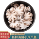 海升東新鮮八爪魚(yú)鮮活冷凍小章魚(yú)迷你短腿八抓魚(yú)大爆頭去內臟撈汁小海鮮 三去八爪魚(yú)5斤超大規格10頭/斤