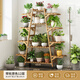 絲竹閣花架置物架陽(yáng)臺(tái)落地式創(chuàng)意客廳多肉實(shí)木多層網(wǎng)紅花盆靠墻綠蘿架子 A字原色12層【帶輪】