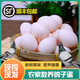 沂鮮新鮮鴿子蛋正宗五谷雜糧散養(yǎng)信鴿蛋30枚孕婦寶寶農(nóng)家初生蛋禮盒裝 鴿子蛋30枚