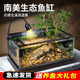添悅新款南美溪流魚缸客廳小型桌面造景全套玻璃生態(tài)缸烏龜缸底部排水 中號【全套組合套餐】