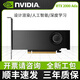 英偉達RTX 2000 Ada圖形顯卡麗臺AI建模渲染視頻剪輯專(zhuān)業(yè)設計制圖16G RTX 2000 Ada 【全新工業(yè)包裝】 16GB