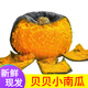 辰實(shí)貝貝南瓜 板栗味小南瓜 新鮮老南瓜粉糯甜 5斤