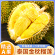 甘福園泰國金枕榴蓮新鮮果榴蓮肉單整個當季熱帶水果金枕頭帶殼批發(fā)包郵 A級精品2-3斤一個裝【一人專享】