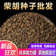 語(yǔ)安中藥材新黑柴胡種子31號(hào)黃柴胡種籽中草藥種植苗四季抗旱種孑 柴胡種子一斤