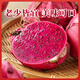 土產(chǎn)邦西雙版納紅心火龍果小果大果整箱甜蜜多汁批發(fā)新鮮現摘天然美味多 2斤