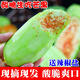 良知農(nóng)哥 新鮮生脆青芒果 生吃酸芒果 5斤（配辣椒鹽+酸梅粉）