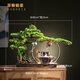 菲斯鉑亞仿真迎客松招財(cái)貓流水?dāng)[件辦公室玄關(guān)中式喬遷新居開(kāi)業(yè)禮品送朋友 迎客松懸壺流水（一）美松款