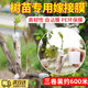 iosn果樹嫁接膜專用膜PE薄膜嫁接綁帶果樹苗木包扎膠帶架接果樹塑料膜 【200米*3cm/3卷裝】果樹嫁接膜 【高韌性丨高透明丨自沾膜】