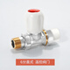 天一金牛（TIANYIJINNIU）PPR溫控閥 散熱器暖氣片閥門 暖氣片角閥 PPR控溫閥門 6分直式