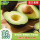 牛油果先生牛油果先生（輕食）秘魯應(yīng)季當(dāng)季新鮮進(jìn)口水果即食牛油果（熟果） 巨無(wú)霸10個(gè)裝（單果重190g+） 熟果