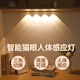藍(lán)廷博思智能人體感應(yīng)貓眼燈全自動(dòng)家用充電櫥柜玄關(guān)鞋柜酒柜LED燈帶 山丘銀【80cm】感應(yīng)+三色+鋁材