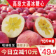 甘百薈甘肅冰糖心丑蘋(píng)果紅富士高原不打蠟精選脆甜陽(yáng)光果靖遠禮盒裝蘋(píng)果 （22枚精選）毛重10斤中果