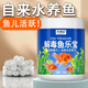 水洲紀(jì)魚(yú)樂(lè)寶除氯魚(yú)缸凈水劑凈化水質(zhì)調(diào)理劑穩(wěn)定劑清澈劑水族藥劑凈水片 【促銷(xiāo)買(mǎi)1送1】魚(yú)樂(lè)寶（約300片）/2瓶