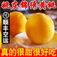 正宗嘉興嘉善姚莊錦繡黃桃新鮮水果紅心當季大果桃子整箱5斤禮盒W 3斤