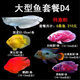 魚(yú)銀龍招財貓魚(yú)美魚(yú)多魚(yú)觀(guān)賞魚(yú)魚(yú)鸚鵡活體熱帶黃紅地圖 大型魚(yú)套餐D4 送200g飼料
