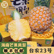 鑫果滋 芒果鳳梨 海南金鉆鳳梨小菠蘿手撕鳳梨新鮮水果年貨禮盒送禮 【芒果鳳梨】4.5-5斤4-5個中果