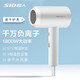 超人電吹風(fēng)機(jī)家用水潤負(fù)離子沙龍大風(fēng)量速干 恒溫護(hù)發(fā)吹風(fēng)筒1800W   RD72030