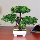 花藝赫  仿真迎客松植物盆栽室內(nèi)綠植小盆景擺件桌面假花擺設(shè)家居裝飾品擺件 雙層綠松