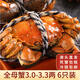 【活蟹】水淼鮮 洪湖大閘蟹鮮活螃蟹生鮮現(xiàn)貨海鮮水產(chǎn)年貨禮品 全母3.0-3.3兩 6只裝