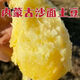 內(nèi)蒙土豆烏蘭察布2024年土豆新鮮蔬菜土豆黃心馬鈴薯黃皮土豆 凈重9斤