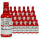 百威（BUDWEISER）啤酒330ml*24瓶鋁罐國產(chǎn)紅鋁瓶擰蓋旋蓋黃啤拉格整箱 【經(jīng)典版】 330mL 24瓶