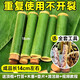 臨雅竹筒粽子模具家用商用擺攤專用神器活塞式新鮮竹子制作竹筒糯米飯 內(nèi)徑2.9-3.3cm10個裝-贈配件