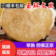顏曼箐正宗文旦柚子玉環(huán)當季新鮮水果孕婦浙江臺州特產(chǎn)現(xiàn)摘禮盒順豐 老樹甄選 禮盒裝順豐 6斤 2個