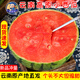 顧老表空運云南麒麟西瓜水果麒麟小西瓜冰糖西瓜現摘沙瓤甜麒麟瓜9 6-7斤麒麟西瓜 航空空運