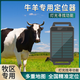 尋蹤者尋蹤者牛羊定位器項圈防水太陽(yáng)能超長(cháng)續航手機實(shí)時(shí)查看遠程遙控4G 5G【終身版】精準定位+太陽(yáng)能