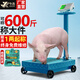 今選（JINXUAN）大型稱(chēng)重落地電子秤商用臺秤磅秤高精度電子稱(chēng)工業(yè)倉庫稱(chēng)貨物秤豬牛羊 雙顯300公斤40*50加固加粗支架