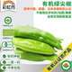 彩虹雨 北京農場(chǎng)有機綠尖椒250g歐盟認證有機蔬菜 有機生鮮自有農場(chǎng)