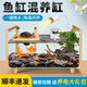 寵小帥木紋烏龜缸超白玻璃養龜缸底部排水飼養缸生態(tài)造景水族箱混養魚(yú)缸 大號【真植套餐】