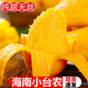 海南小臺農(nóng)芒果新鮮小臺芒水果當季整箱紅金玉大青煌 特惠裝3斤