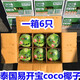 沐瑾泰國椰青易開寶火鍋椰網(wǎng)紅Coco椰子新鮮易拉罐椰香水椰青 6個（方便易開口） 甘甜可口