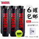 天龍（Teloon） 比賽網(wǎng)球pound罐裝耐打訓練球 Teloon-P4-6桶+護腕