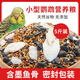 花卷寶寶鸚鵡飼料虎皮牡丹玄鳳鳥(niǎo)食帶殼谷子混合糧滋養丸墨魚(yú)骨補鈣營(yíng)養糧 5斤
