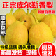 隴原紅【新疆直發(fā)】新疆庫爾勒香梨 當季新鮮酥甜梨子水果薄皮多汁 一級母梨5斤裝（單果100-120g）